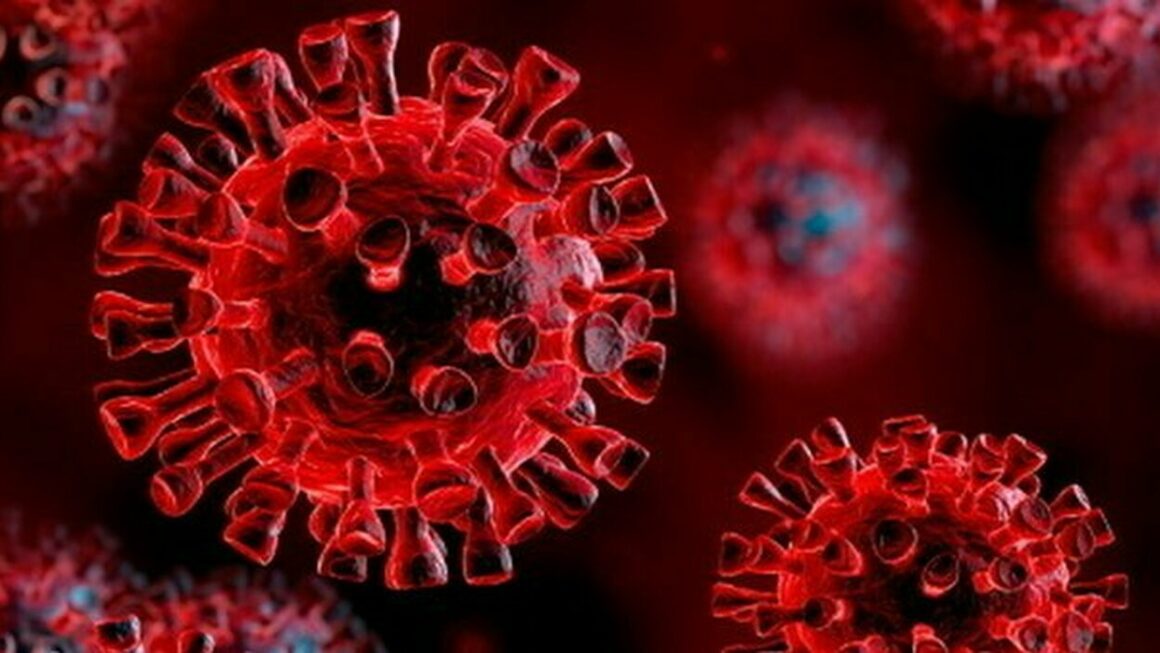 I virus: cosa sono e come si trasmettono