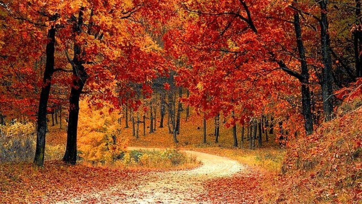 Equinozio d’autunno, perché quest’anno è il 23 settembre