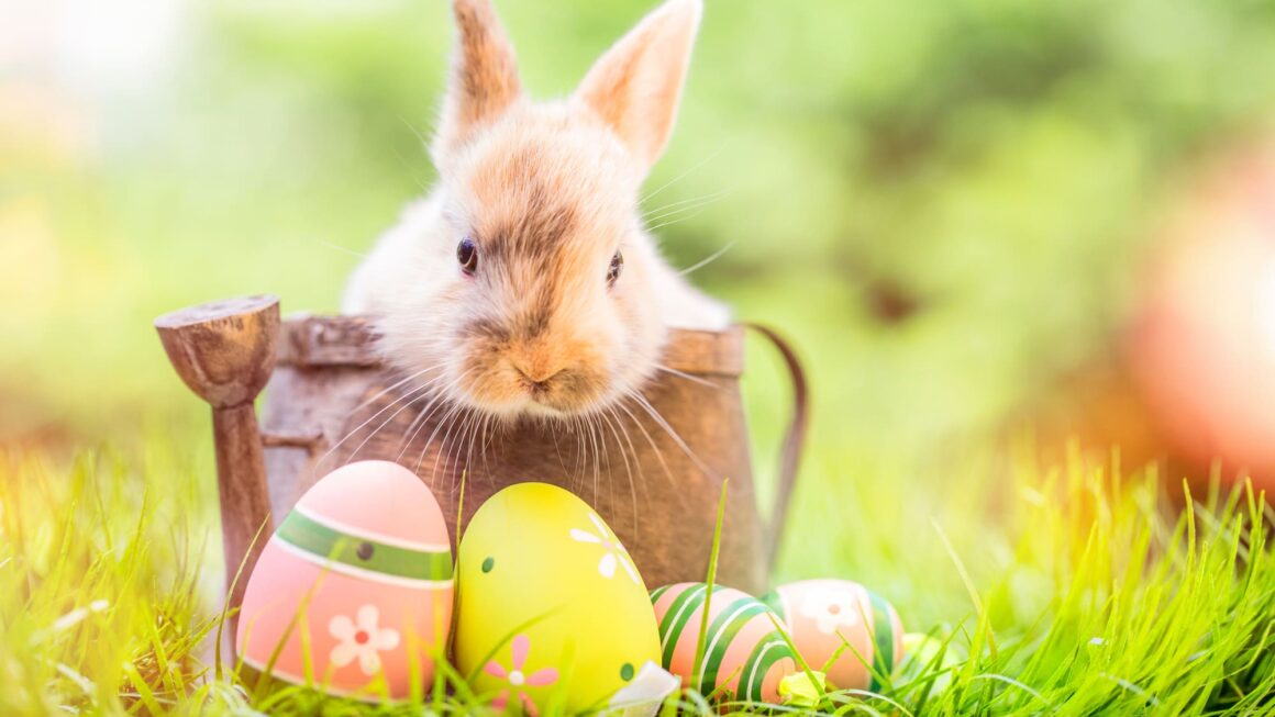 Uova di Pasqua 2024: Tutte le novità per gli amanti del cioccolato