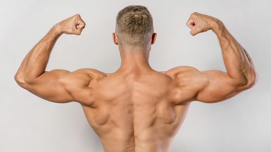 Steroids: Understanding Their Uses and Risks Steroids: Understanding Their Uses and Risks